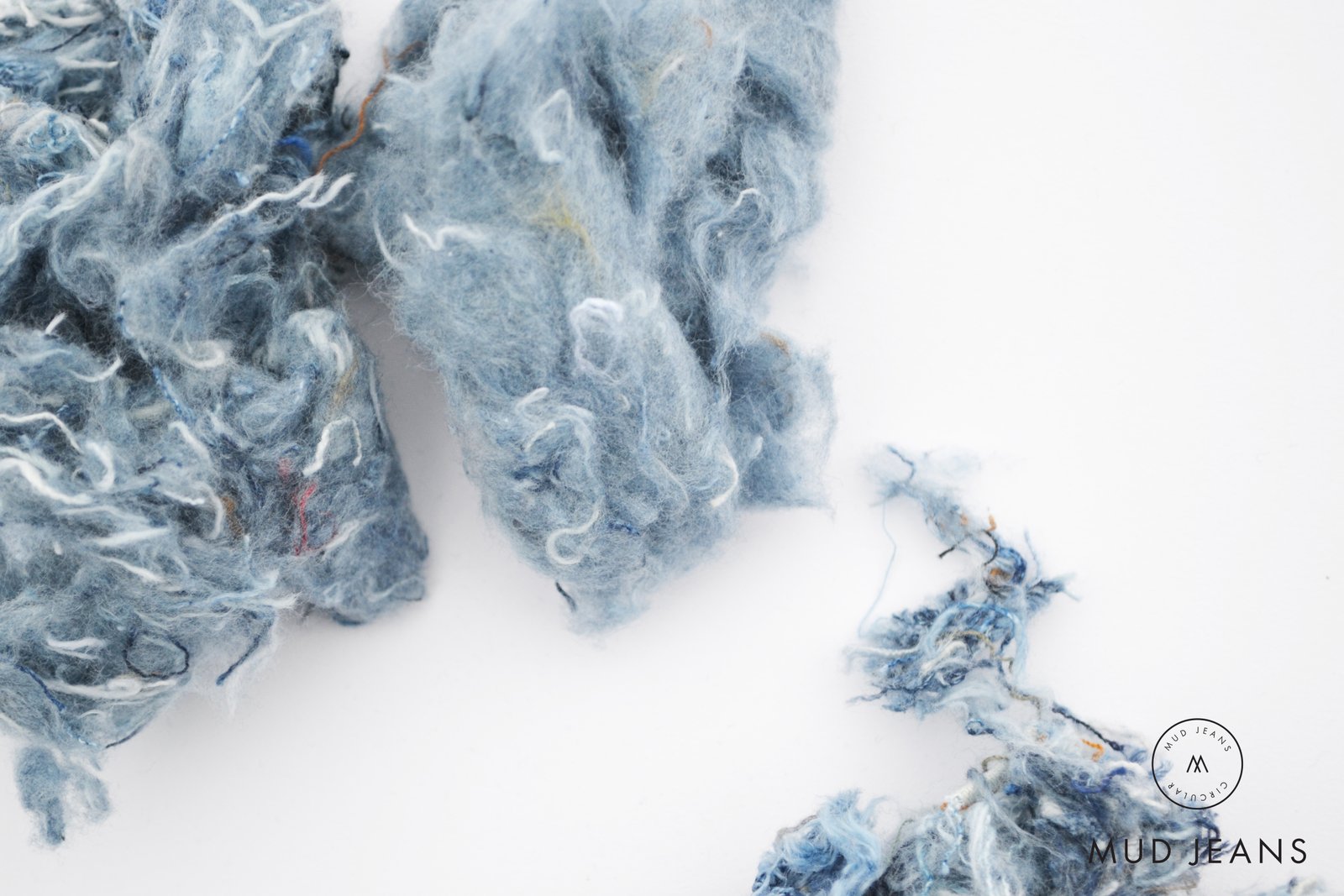 Phobos Caribbean Blue