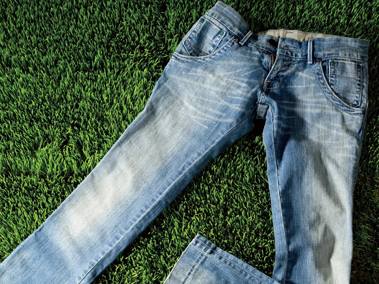 Dexter Max Blue - Image 2